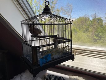 Vintage Decorative Bird Cage