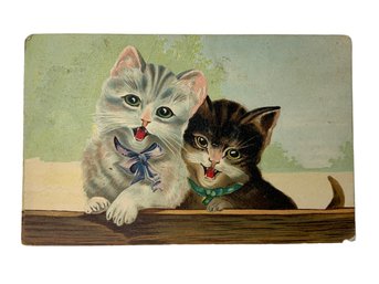 Vintage Kitten Postcard