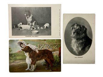 Trio Of Vintage Postcards With Dogs