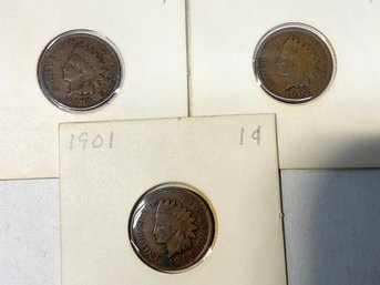 Three Carded Indian Head Pennies 1901, 1902, 1903