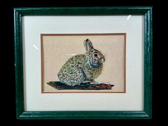 Framed Vintage Rabbit Print