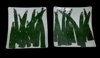 Art Pottery Asparagus Plates By Amy Gore Signed