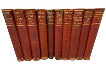 Collected Works Of Charles Darwin 1896 Appleton Third Edition 10 Of 15 Volumes