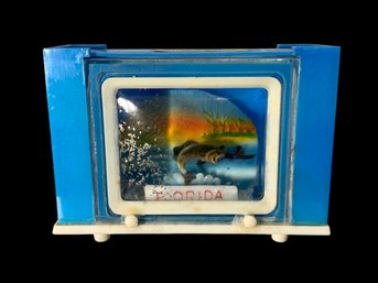 Plastic Novelty Florida Salt And Pepper Shaker TV Screen