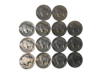 Lot Of Fourteen Buffalo Nickel Coins Various Dates 1925 1927 1929 1935 1936 Some Years Unknown