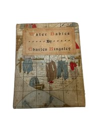 1899 Altemus Edition Of Water Babies By Charles Kingsley Illustrated Antique Childrens Book