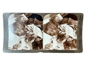 Antique Cabinet Card Stereograph Sleeping Girl With Cat And Doll