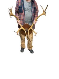 Vintage Pair Of Elk Antlers Mounted On A Wooden Plaque