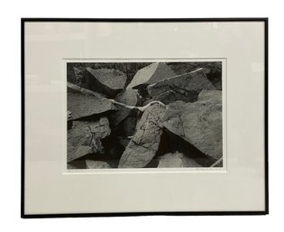 Thomas Nogueron Framed And Signed Photograph Entitled Stone Flower