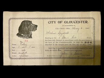 1907 Gloucester MA Dog License For Toby