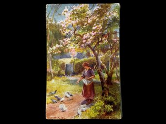 35 Plus Tucks Antique Postcards Bucolic Scenes