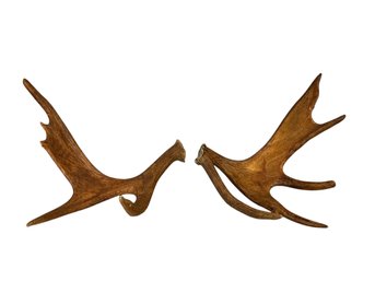 Pair Of Moose Antlers For Your Lodge Country House Or Cabin