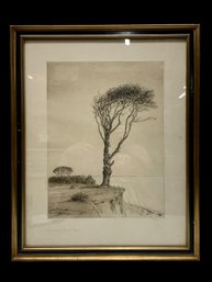 Large Signed Framed Etching Of Tree On A Cliff