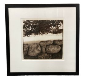 1999 Toned Silver Gelatin Print By Janet Woodcock Photography Vineyard Haven MA