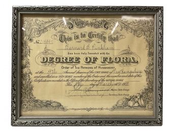 Antique 1933 Degree Of Flora