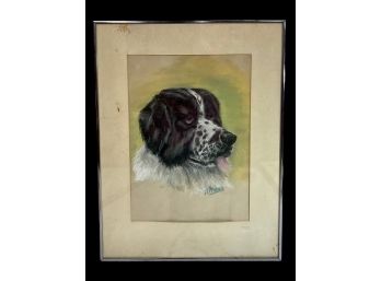 Spotted Spaniel  Pastel On Paper Signed N. P. Mears