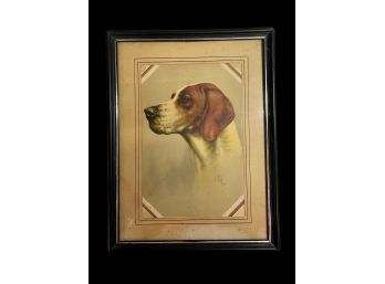 Vintage Hound Dog Print G.B.Fox