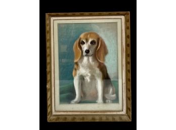 Beagle Pastel On Paper By Mae Bennett Brown