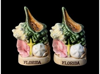 Kitschy Porcelain Florida Seashells Salt And Pepper Shakers