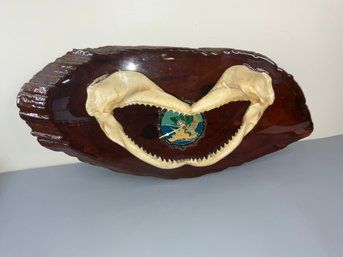 Mounted Shark Mouth Clock Sharp Teeth Real Cool For A Man Cave Or Bar!