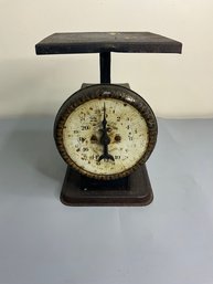 Vintage Grand Union American Family Scale