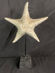 Starfish On Base Beach Decor Very Heavy And Detailed