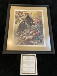 Carl Benders 'forest Carpenter-pileated Woodpecker' 1990 Artist Signed Framed Print