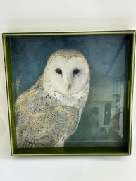 Rock Flower Paper  Nocurne Owl 15' Square Tray