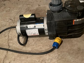 Century Centurion Pool And Spa Duty Pump Total HP 1.95