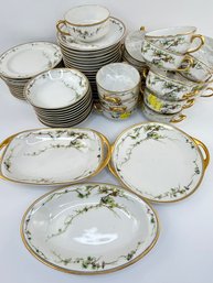 Limoges Haviland & Co., France Dishware Set