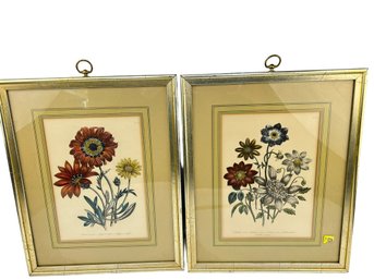 Framed Original Old Flower Prints