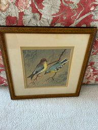 Artwork On Paper Signed H.B. Lewis C 1925 Birds On A Branch