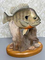 Fiberglass Bluegill Sunfish Replica Mount