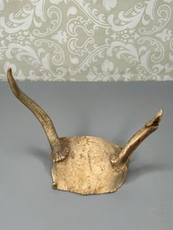 Small Animal Skull With Antlers