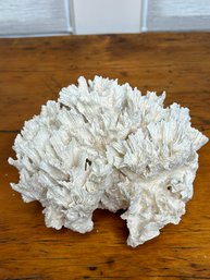 Large Natural White Sea Coral Specimen