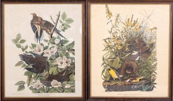 Pair Of Vintage John James Audubon Bird Engraved Prints