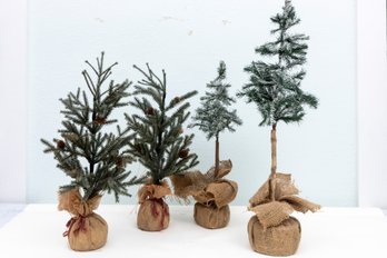 Four Faux Pine Trees