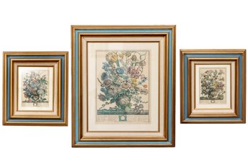 Three Vintage Robert Furber's '12 Months Of Flowers' Botanical Prints