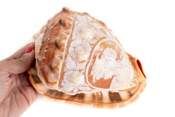 Carved Bull's Mouth Conch Shell Cameo