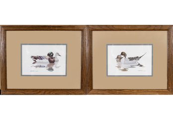 1981 Richard Sloan Mallard Duck Prints