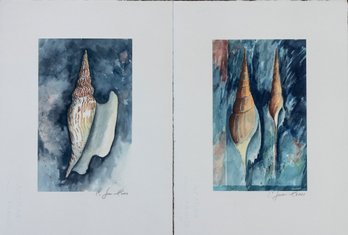 Signed 2001 Nautical Sheashell Watercolors