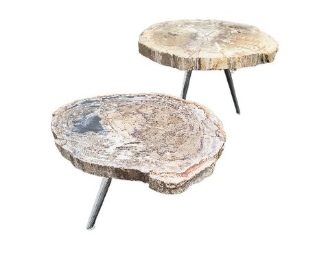 Stunning Small Tables/ End Tables / Coffee Table In 'live Edge' Petrified Wood