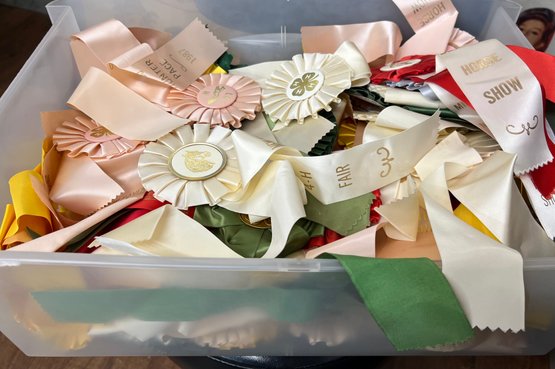 Giant Lot Of Show Horse Ribbons