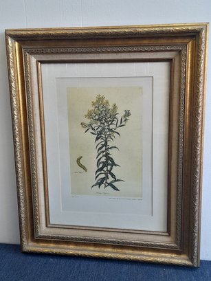 Floral And Caterpillar Print