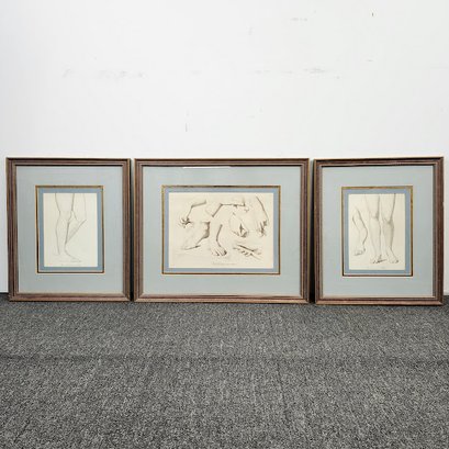 Set Of  Framed Hand Feet Studies The Bombay Company