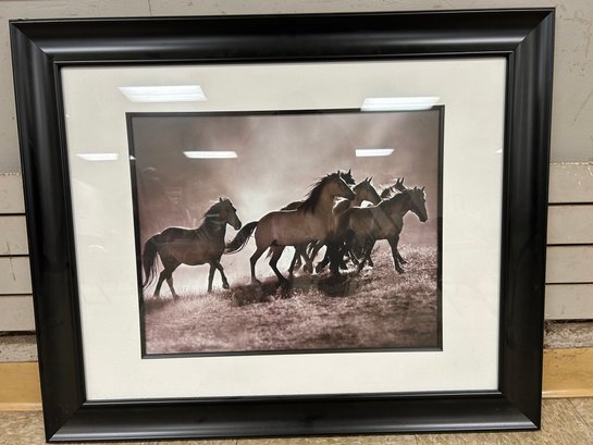 Regal Wild Horse Print
