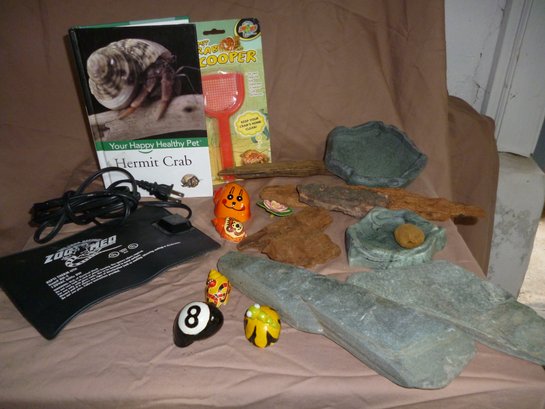 Hermit Crab Kit 'Add A Tank And A Crab For Lots Of Fun!'