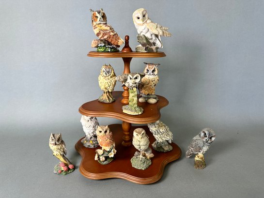 World Of Owls On Tiered Wooden Display