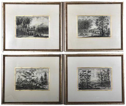 Set Of Four Framed Domain Tropical Landscapes From Asia