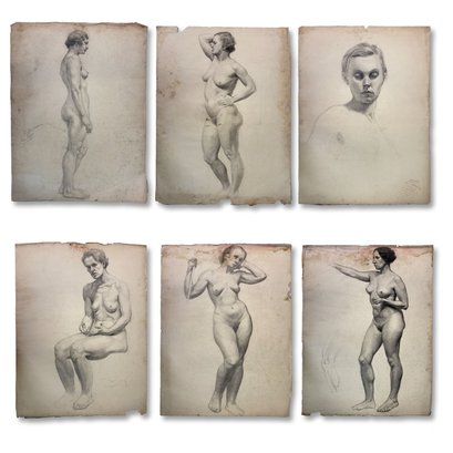 19x25 Early 1940s - Charcoal Academic Female Studies On Ingres Paper Group Of (6)